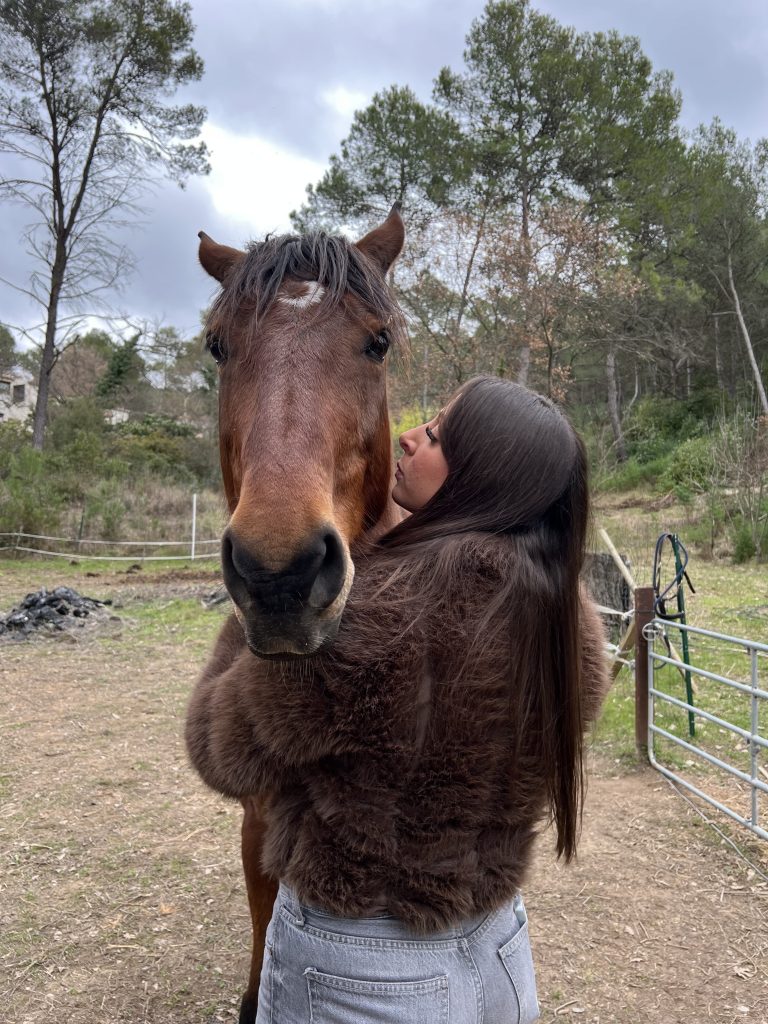 Pet sitter à Lambesc